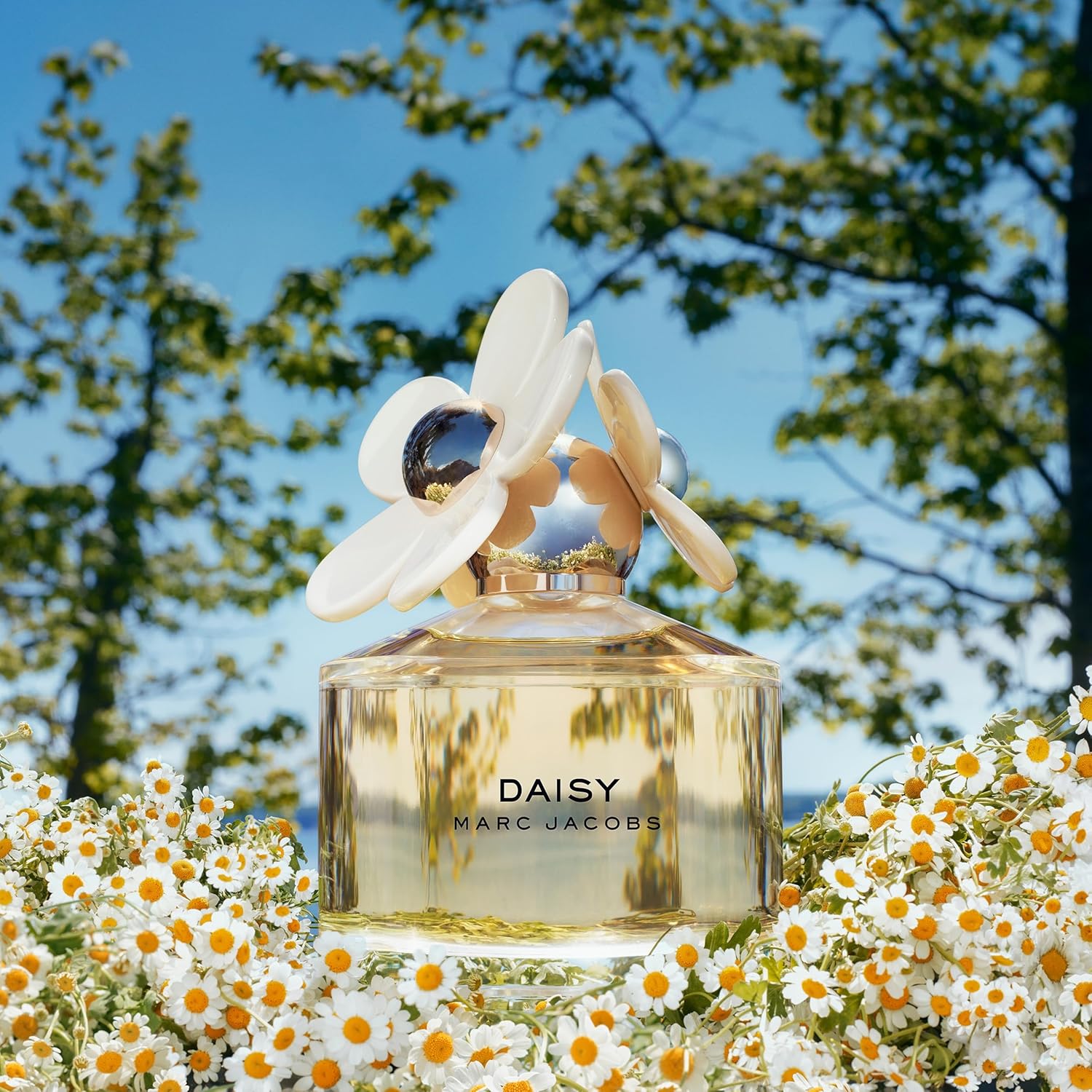 Marc Jacobs Daisy Eau De Toilette – Radiant Floral Women'S Perfume – with Notes of Wild Berries, White Violet, Jasmine & Sandalwood